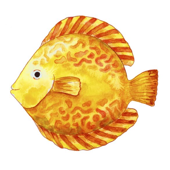 Faber-Castell színesceruza készlet 12db-os AQUARELL + ajándék ecset