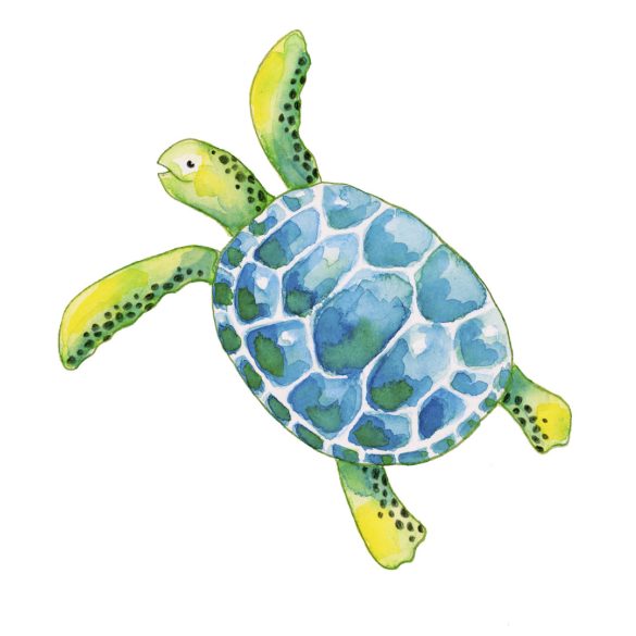 Faber-Castell színesceruza készlet 12db-os AQUARELL + ajándék ecset