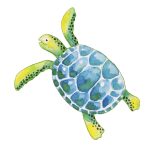 Faber-Castell színesceruza készlet 24db-os AQUARELL + ajándék ecset