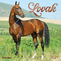 2027-es lovas falinaptár